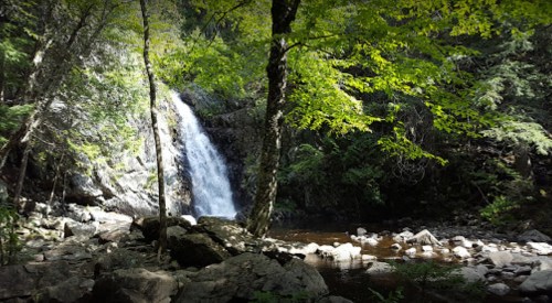 A serene waterfall cascades down rocky terrain, surrounded by lush green trees and a tranquil pool below.
