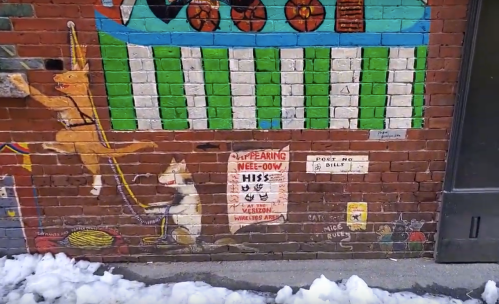 Colorful mural on a brick wall featuring a cat, vibrant patterns, and text about a missing pet. Snow on the ground below.