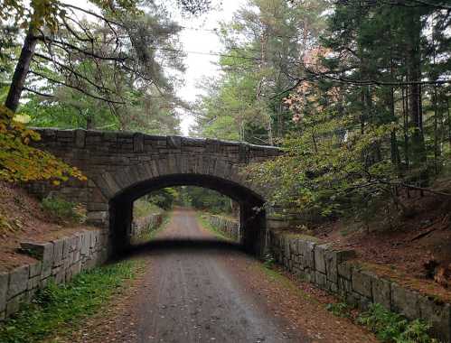 A stone arch bridge over a dirt path, surrounded by trees and greenery in a serene forest setting.