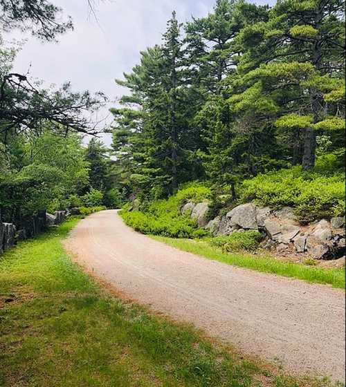 A winding gravel path surrounded by lush greenery and trees on either side.