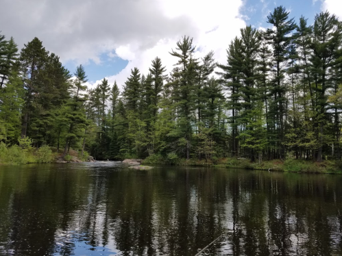A serene river scene surrounded by lush green trees under a partly cloudy sky. Reflections shimmer on the water's surface.