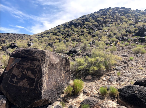 Petroglyphs on a rock in a desert landscape, with a rocky hill and sparse vegetation in the background.