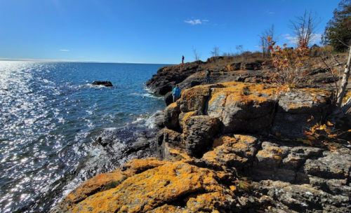 A rocky shoreline with vibrant orange lichen, blue water, and a clear sky, with a person exploring in the distance.