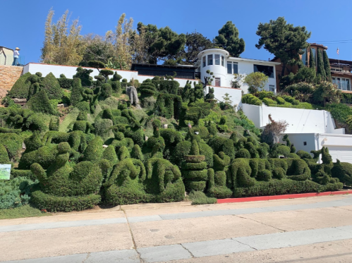Lush, sculpted hedges create whimsical shapes on a hillside, with a house and trees in the background under a clear blue sky.