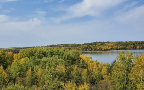 A serene landscape featuring a lake surrounded by trees in vibrant autumn colors under a clear blue sky.