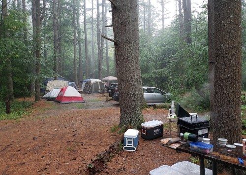 A misty forest campsite with tents, a car, and a cooking area set up among tall trees.