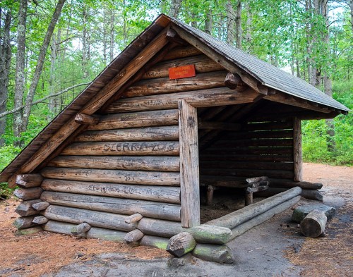 A rustic wooden shelter with a slanted roof, surrounded by trees in a forested area.