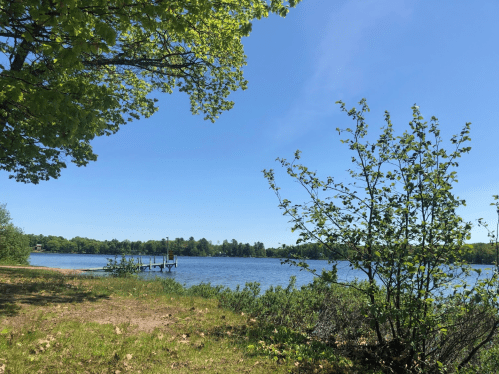 A serene lakeside view with green trees, a clear blue sky, and a wooden dock in the distance.