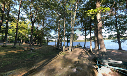 A serene lakeside scene with tall trees casting shadows on the ground, and calm water visible in the background.
