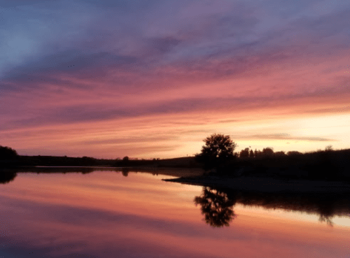 A serene sunset over a calm river, with vibrant pink and purple hues reflecting on the water's surface.