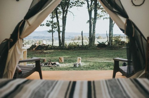 View from a tent opening, showcasing a serene landscape with trees and a grassy area.