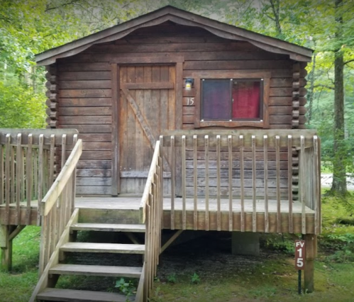 A rustic wooden cabin with a porch and steps, surrounded by trees, featuring a door and a window with red curtains.