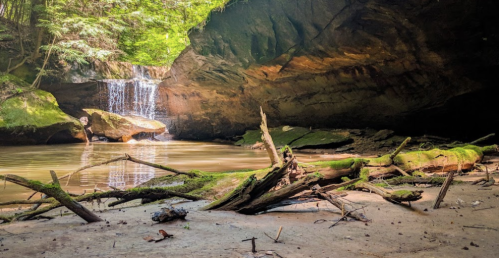 A serene forest scene featuring a small waterfall, moss-covered rocks, and fallen branches by a calm pool of water.