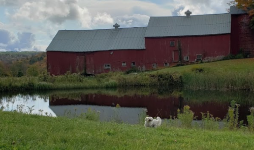 A red barn beside a calm pond, with a grassy area in the foreground and trees in the background under a cloudy sky.