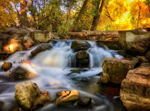 A serene waterfall cascades over rocks, surrounded by vibrant autumn foliage and trees.