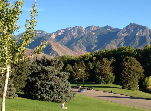 A scenic view of mountains in the background, with green trees and a grassy area in the foreground.