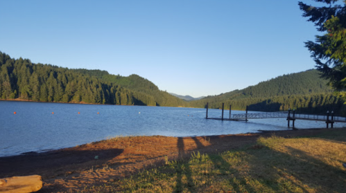 A serene lake surrounded by mountains and trees, with a wooden dock extending into the water under a clear blue sky.