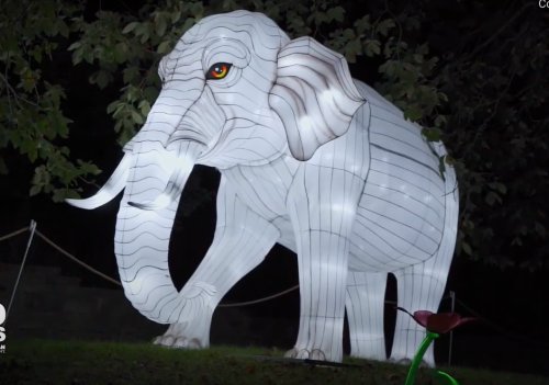 A large illuminated elephant sculpture with a white striped design, set against a dark background with greenery.