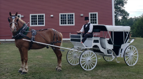 A horse-drawn carriage with a driver in formal attire, set against a red barn backdrop.