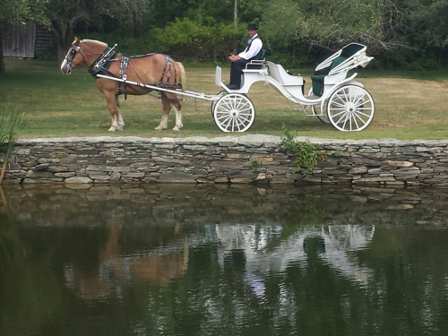 A horse-drawn carriage with a driver stands by a stone wall, reflecting in a calm pond. Lush greenery surrounds the scene.