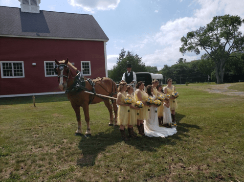 A group of bridesmaids in yellow dresses stand with a horse and a man in formal attire near a red barn.