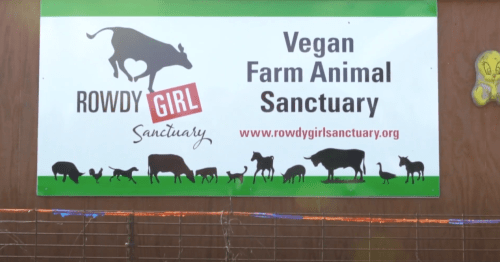 Sign for Rowdy Girl Sanctuary, a vegan farm animal sanctuary, featuring silhouettes of various animals.