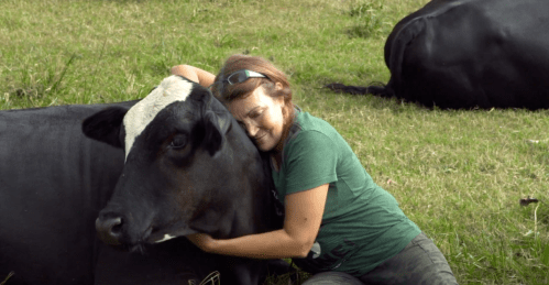 A woman hugs a black and white cow while sitting on the grass, with another cow resting in the background.