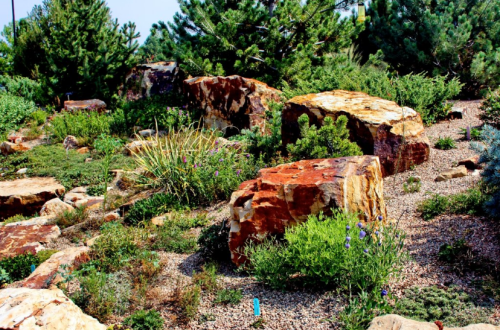 A rocky landscape with large, colorful stones surrounded by greenery and small plants under a clear blue sky.
