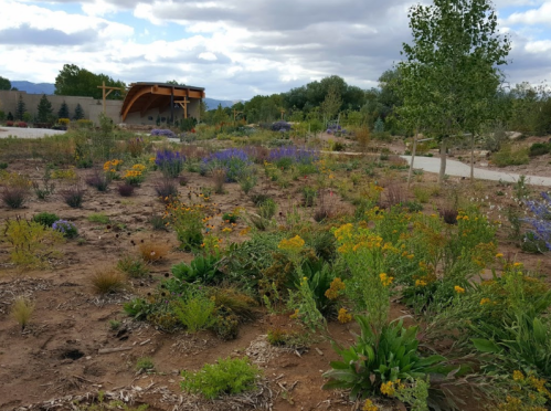 A landscaped area with colorful wildflowers and shrubs, featuring a wooden structure in the background under a cloudy sky.
