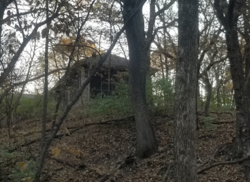 A small, rustic cabin nestled among trees on a hillside, surrounded by autumn foliage.