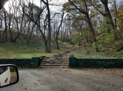 A view of a forested path with stone steps leading up, surrounded by trees and autumn foliage.