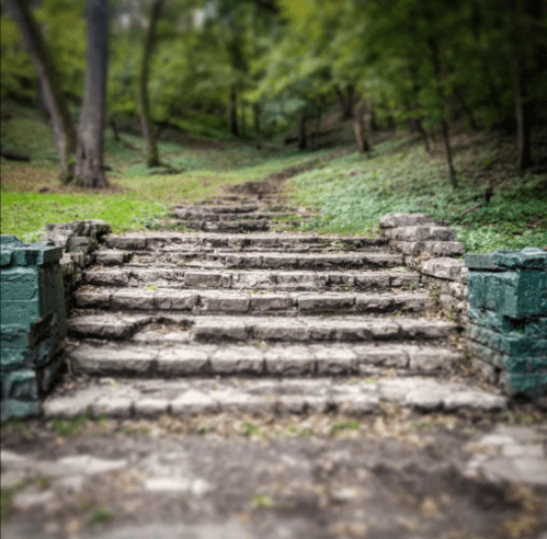 Stone steps lead up a grassy path surrounded by trees in a serene, wooded area.