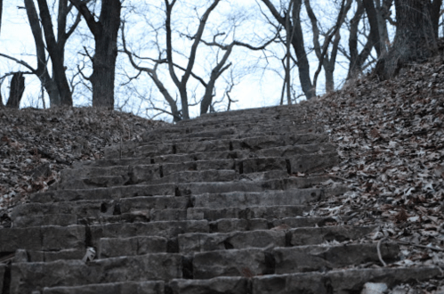 A winding stone staircase leads upward through a wooded area with bare trees and fallen leaves.
