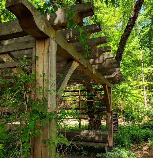 A wooden pergola surrounded by lush green foliage in a serene outdoor setting.