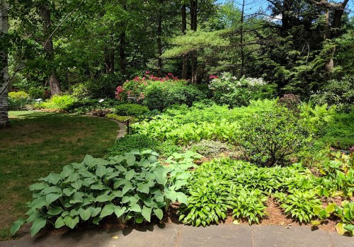 Lush garden with vibrant green plants, colorful flowers, and trees under a clear blue sky. Pathway winding through the greenery.