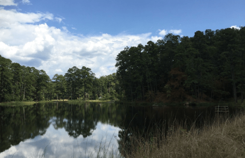 A serene lake surrounded by lush trees under a partly cloudy sky, reflecting the landscape on its calm surface.