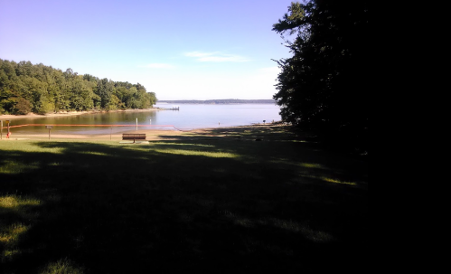 A serene lakeside view with a sandy shore, green trees, and a clear blue sky. A bench is visible in the foreground.