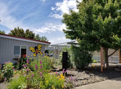 A sunny outdoor scene featuring a garden with flowers, a tree, and a building with a butterfly mural.