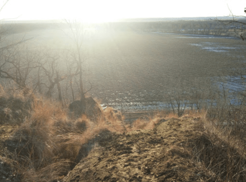 A sunlit landscape with a field and bare trees, viewed from a hilltop, creating a serene, golden atmosphere.