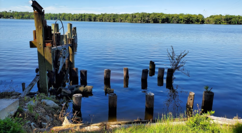 A calm river scene with wooden posts in the water and lush greenery in the background under a clear blue sky.