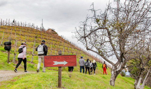 A group of hikers walks along a vineyard path, with a sign pointing towards "Road Less Traveled."