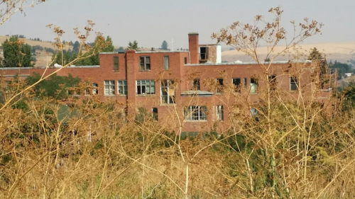 Abandoned brick building partially obscured by tall, dry grass and plants, set against a hazy landscape.