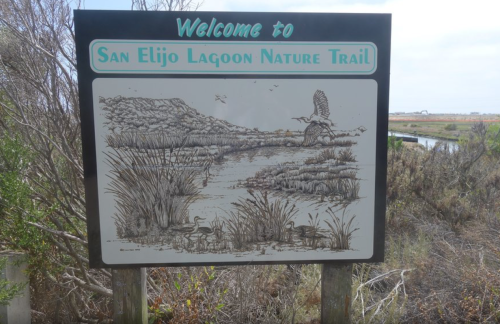 Sign welcoming visitors to San Elijo Lagoon Nature Trail, featuring a nature illustration and surrounding vegetation.