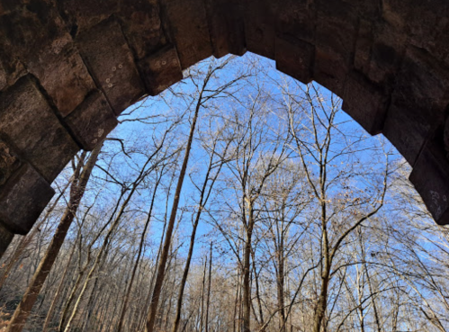 View of bare trees against a clear blue sky, framed by a stone archway.