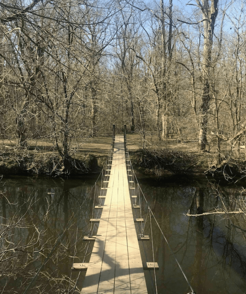 A wooden suspension bridge spans a calm river, surrounded by bare trees in a serene, wooded area.