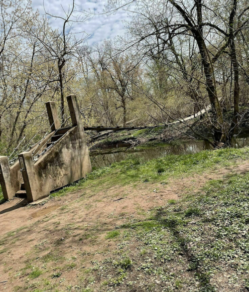 A partially collapsed concrete structure near a river, surrounded by trees and bare branches on a sunny day.