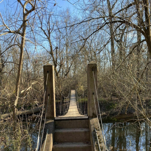 A narrow suspension bridge spans a calm river, surrounded by bare trees and a clear blue sky.