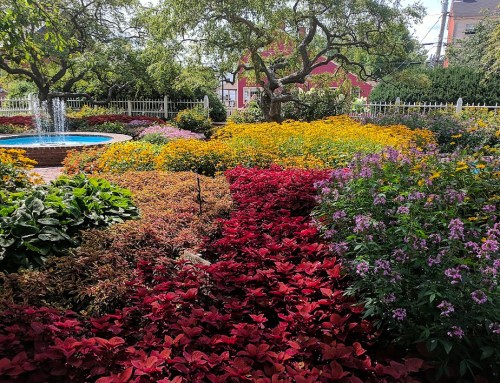 A vibrant garden filled with colorful flowers, including red, yellow, and purple blooms, surrounding a small fountain.