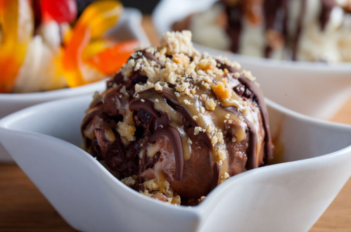 A close-up of a chocolate dessert topped with drizzled chocolate and crushed nuts in a white bowl.