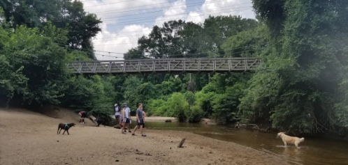 A sandy riverbank with people walking and a dog playing in the water, under a wooden bridge surrounded by greenery.